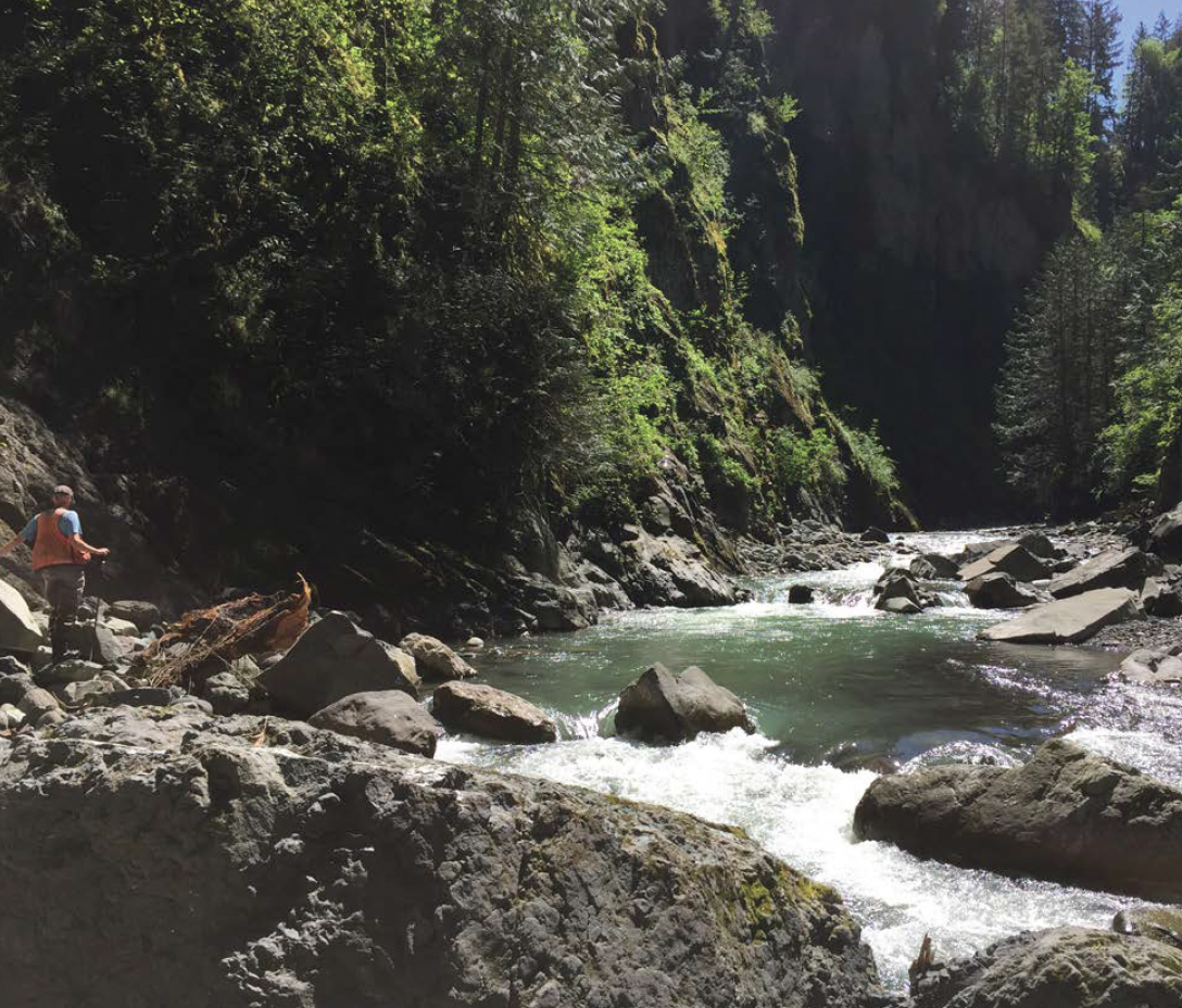 Fisher person in river canyon in the Upper Puyallup Watershed