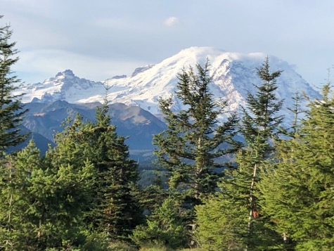 Mount Rainier and forest land